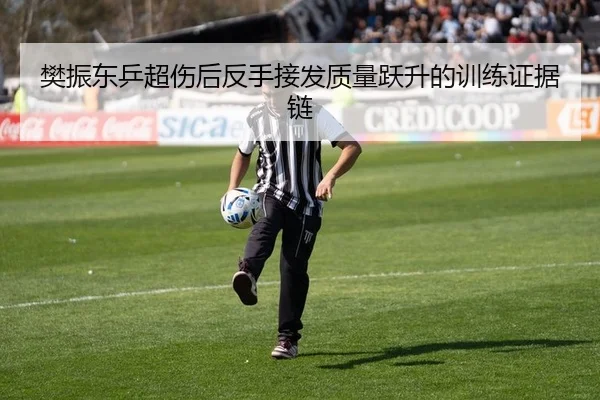 樊振东乒超伤后反手接发质量跃升的训练证据链
